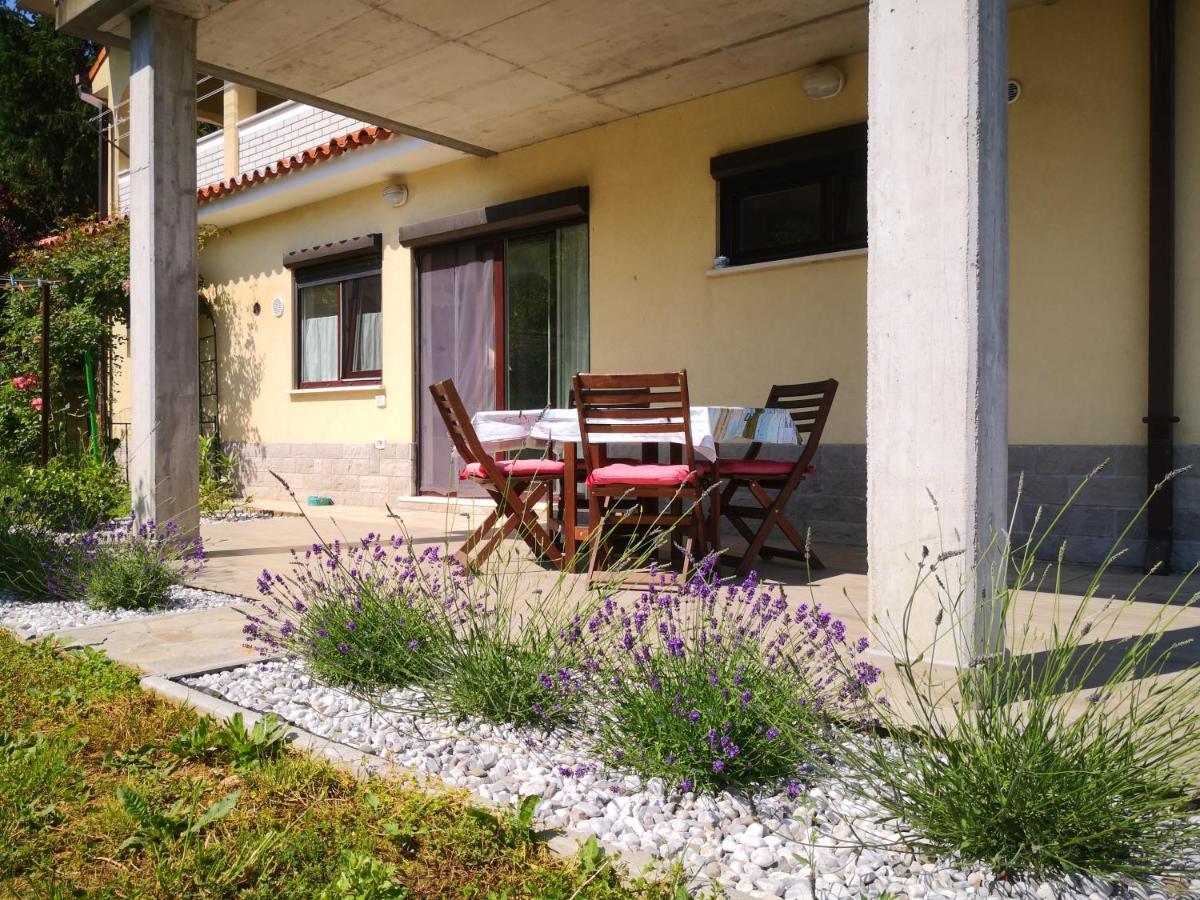 Solmar, Apartment With Big Terrace Near Nature Portorož Dış mekan fotoğraf