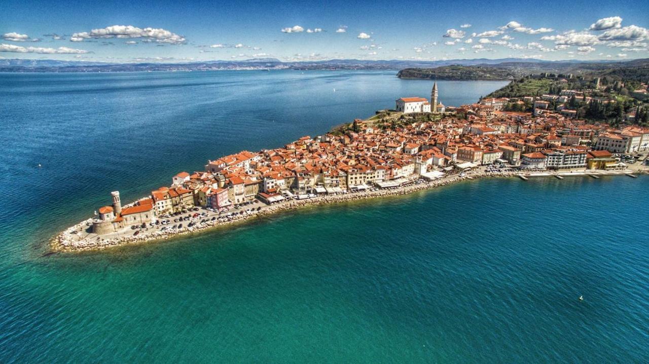 Solmar, Apartment With Big Terrace Near Nature Portorož Dış mekan fotoğraf